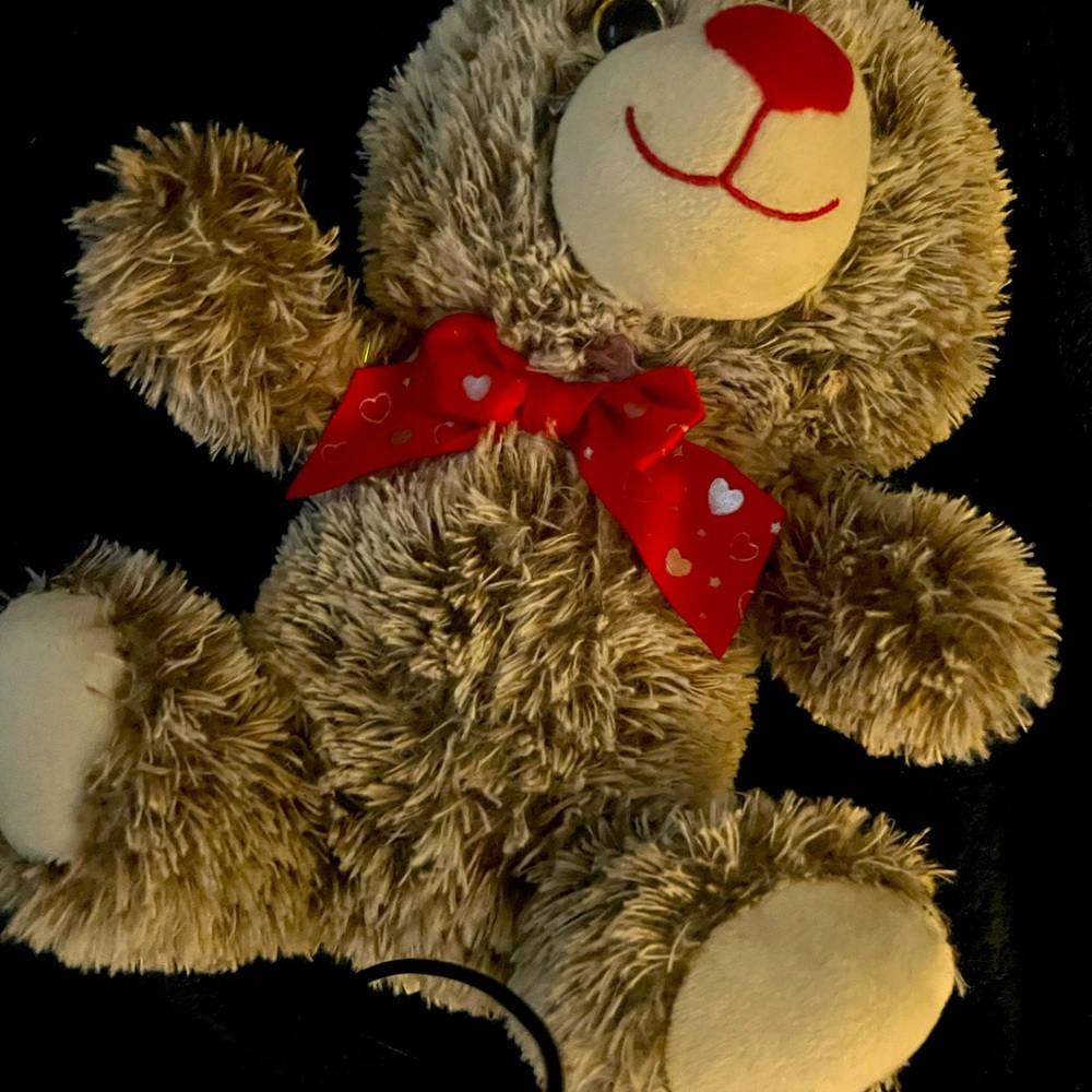 Valentines day teddy bear